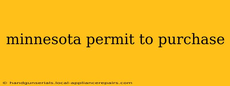 minnesota permit to purchase