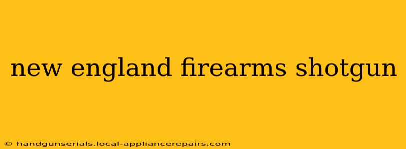 new england firearms shotgun