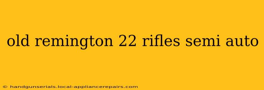 old remington 22 rifles semi auto