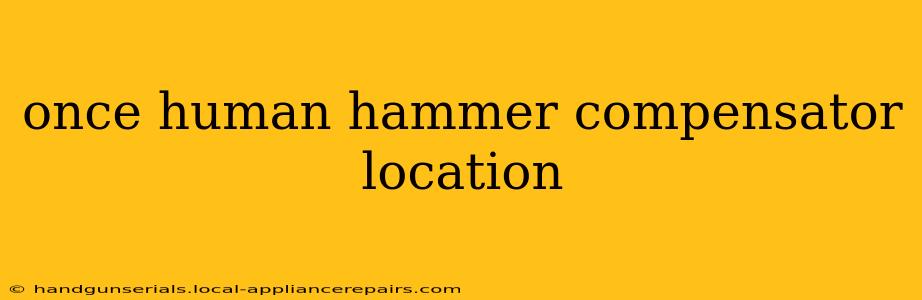 once human hammer compensator location