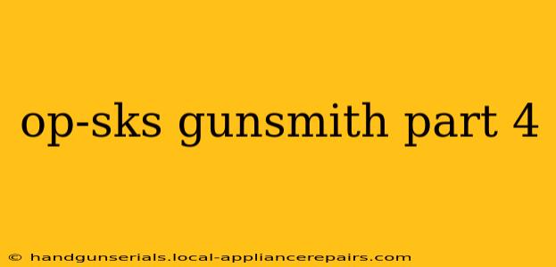 op-sks gunsmith part 4