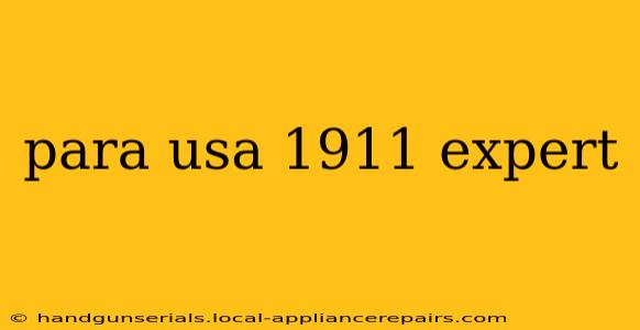 para usa 1911 expert