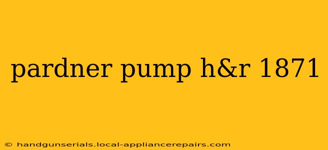 pardner pump h&r 1871