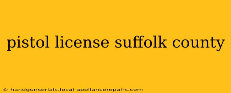 pistol license suffolk county