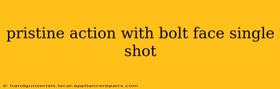 pristine action with bolt face single shot