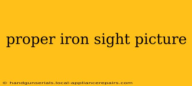 proper iron sight picture