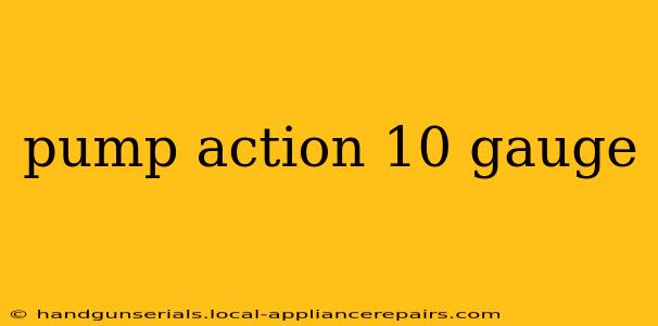 pump action 10 gauge