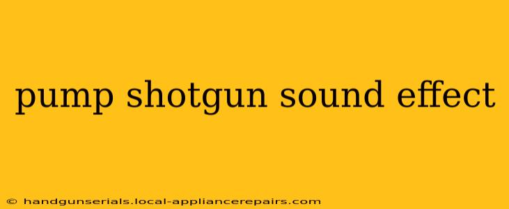 pump shotgun sound effect