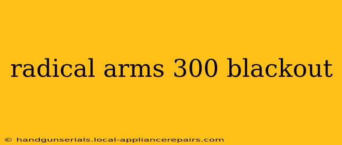 radical arms 300 blackout