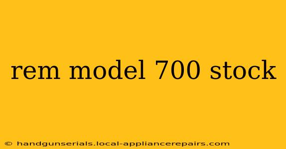 rem model 700 stock