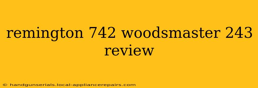 remington 742 woodsmaster 243 review