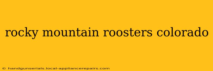 rocky mountain roosters colorado