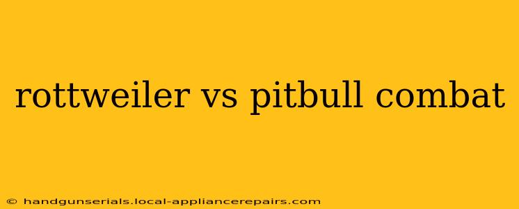 rottweiler vs pitbull combat