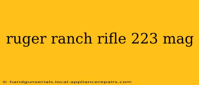 ruger ranch rifle 223 mag