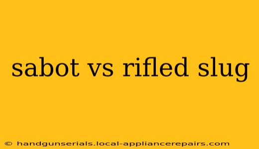 sabot vs rifled slug