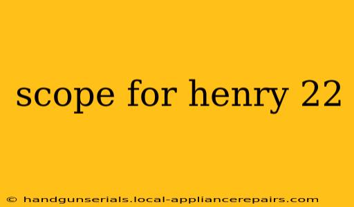 scope for henry 22