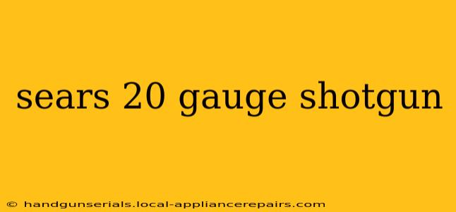 sears 20 gauge shotgun