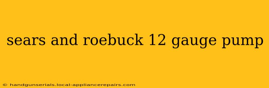 sears and roebuck 12 gauge pump