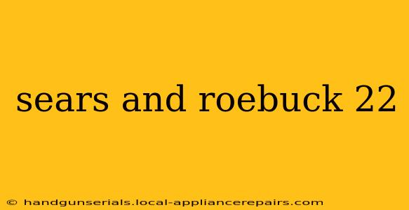 sears and roebuck 22