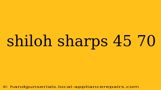 shiloh sharps 45 70