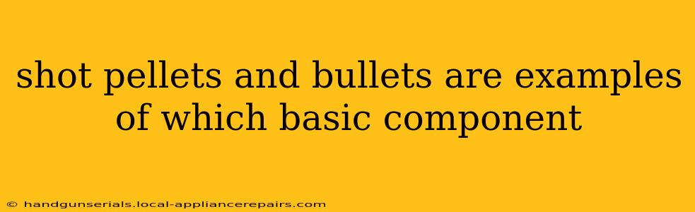 shot pellets and bullets are examples of which basic component