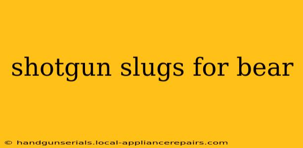 shotgun slugs for bear