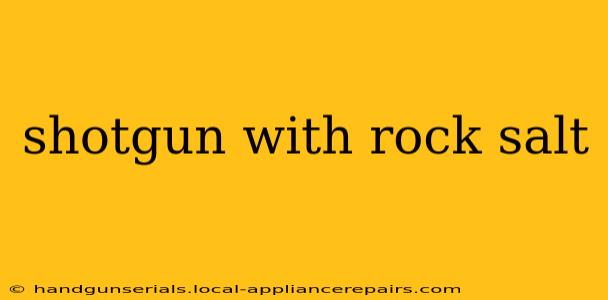 shotgun with rock salt