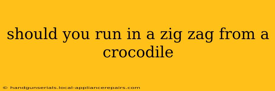 should you run in a zig zag from a crocodile