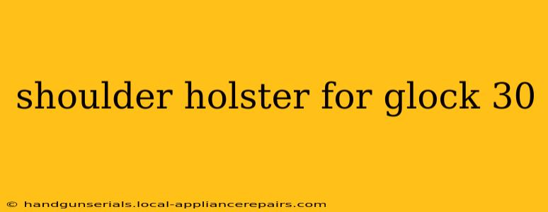 shoulder holster for glock 30