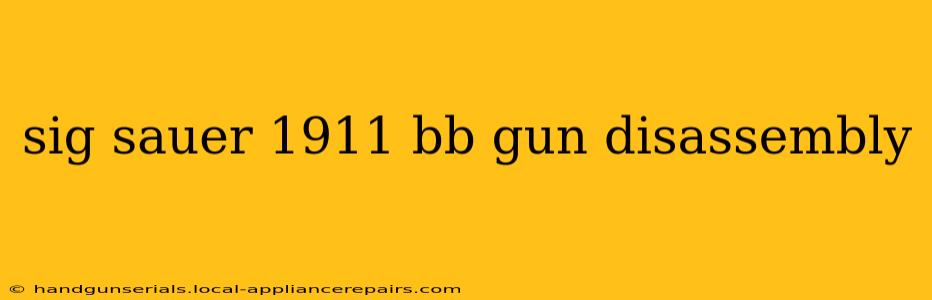 sig sauer 1911 bb gun disassembly