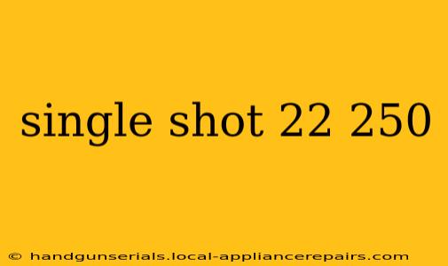 single shot 22 250