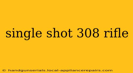 single shot 308 rifle