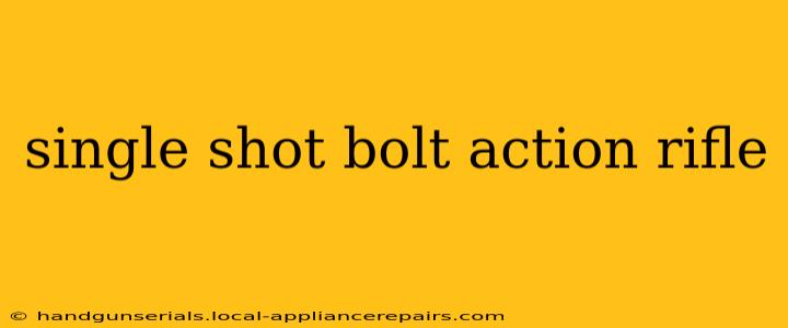 single shot bolt action rifle