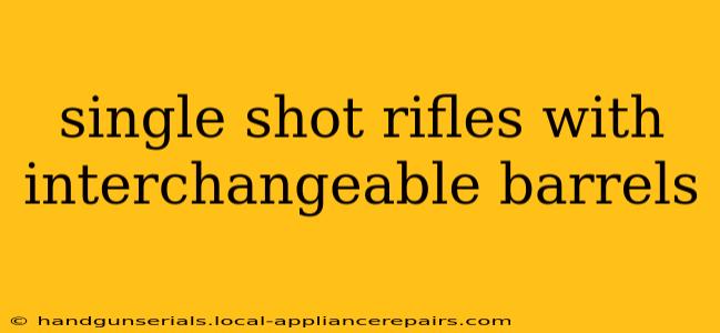 single shot rifles with interchangeable barrels