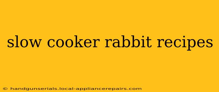 slow cooker rabbit recipes