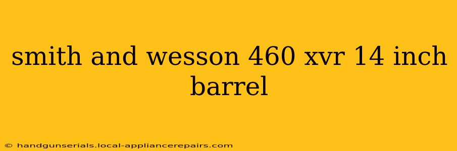 smith and wesson 460 xvr 14 inch barrel