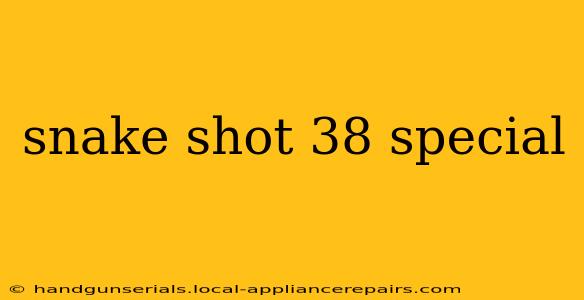 snake shot 38 special