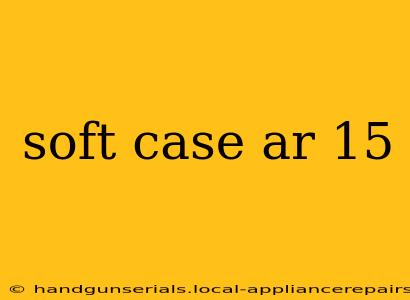 soft case ar 15