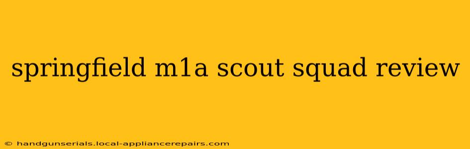 springfield m1a scout squad review