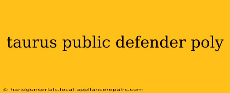 taurus public defender poly