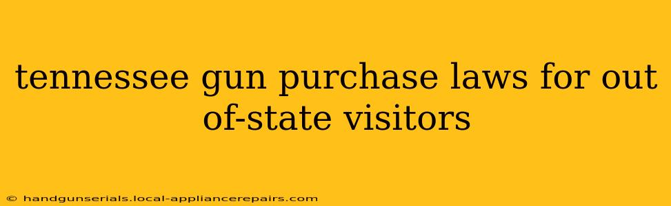 tennessee gun purchase laws for out of-state visitors