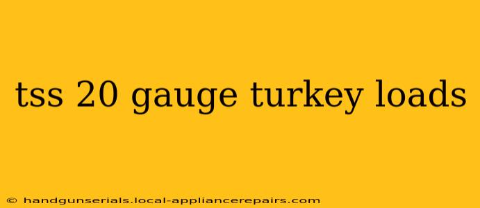 tss 20 gauge turkey loads