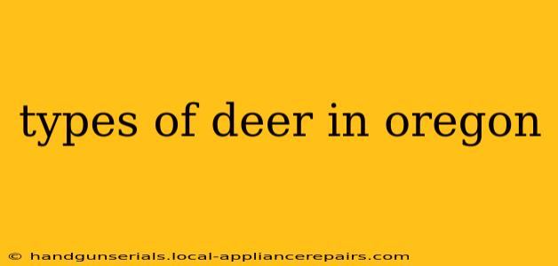 types of deer in oregon