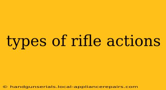 types of rifle actions