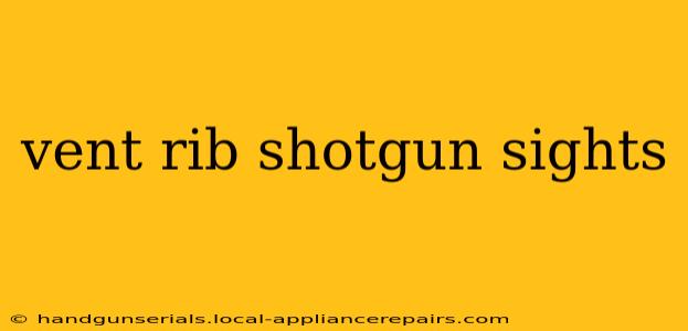 vent rib shotgun sights