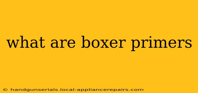 what are boxer primers