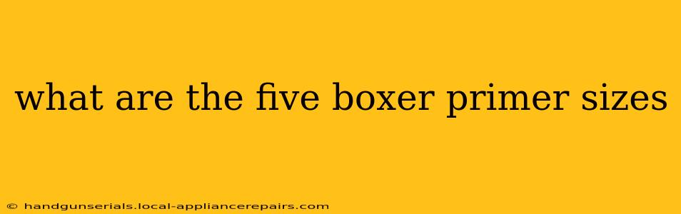 what are the five boxer primer sizes