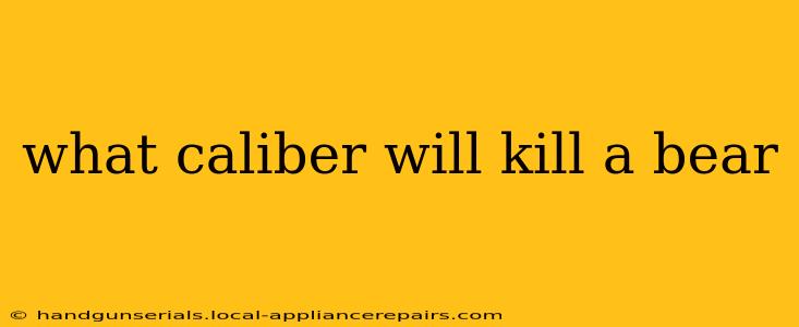 what caliber will kill a bear