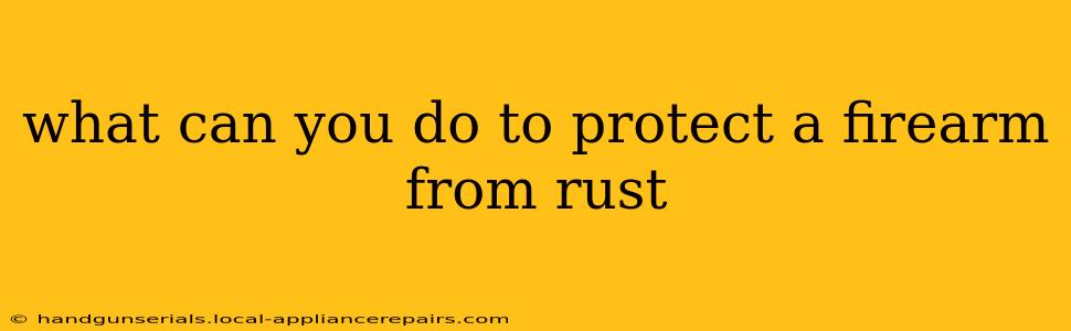 what can you do to protect a firearm from rust