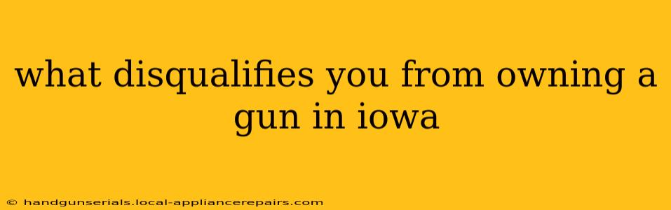 what disqualifies you from owning a gun in iowa